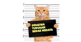 Cara elak kucing kencing/berak merata. Elak Rumah Jadi Tandas Kucing Ini Caranya Impiana