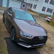 Image result for Argus Brown 2017 A4