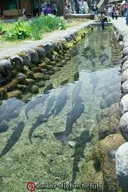 Biological Organization From Smallest To Largest That The Students Can Expect To Find At The Pond 29 Rock Garden And Backyard Ideas Landscaping For Make You Happy 19 In 2020 Ponds Backyard Landscape Fish Ponds