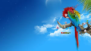  Parrot Photoshop Wallpapers Parrot Wallpaper Digital Wallpaper