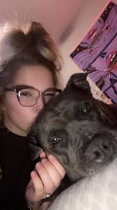 Is my baby boy a blue pit?