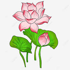 We did not find results for: Gambar Teratai Merah Muda Bunga Teratai Hijau Daun Teratai Indah Lotus Clipart Dekorasi Teratai Bunga Teratai Png Transparan Clipart Dan File Psd Untuk Unduh Gratis