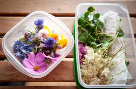 Cet été, j'ai goûté pour la première fois au restaurant des fleurs comestibles. Les Fleurs Comestibles Pour Une Cuisine Coloree Et Pleine De Surprises La Belle Assiette Le Blog
