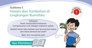 Kunci jawaban tema 4 kelas 4 halaman 51 52 54 56 58 subtema 2 pembelajaran 1 pekerjaan di sekitarku pertanyaan dan soal mulai dari halaman 50 sampai 58, merupakan materi pembelajaran 1 subtema 2 pekerjaan di sekitarku Kunci Jawaban Tema 3 Kelas 4 Halaman 1 2 3 4 5 6 Pembelajaran 1 Subtema 1 Buku Tematik K13 Semangat Belajar