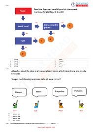 Ghim Của Dasa Tren Science Worksheets