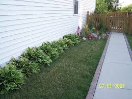 White agapanthus accentuates two lines of cut bluestone pavers along this beautiful side yard. Side Yard Just Because I Love Hostas Landscaping Around House Outdoor Landscape Design Backyard Landscaping Designs