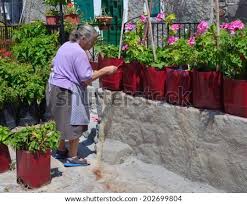 These 3 tricks are key to happy, healthy plants when using clay terracotta pots! Molyvos Lesvos Greece June 16 2014 Old Greek Lady Painting Plastic Plant Pots Stock Images Page Everypixel