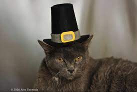 Kitty Pilgrims Cat Hat Cats Cat Holidays