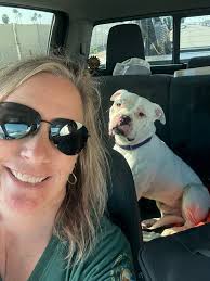 CALIFORNIA RESCUES‼️ 3 Yrs Old!! Available Now For Adoption💜