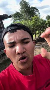 Día Trabajando: Vida Cotidiana de Omar