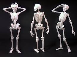 Poseable 3d Printed Skeleton 1 3dprinteresting 3dprinting 3d Printing Toys Prints Shapeways
