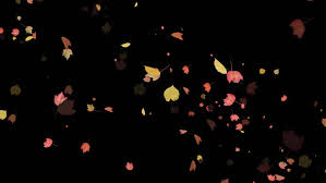 Animated falling leaves background gif. Autumn Leaves Spurt Stock Footage Video 100 Royalty Free 7426819 Shutterstock