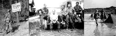 Pay attention to the fact that the fleet and force master chiefs are two separate ranks but wear the same insignia. 409th Regiment