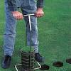 If you desire a low maintenance lawn zoysia is your answer! 1