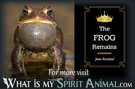 Maybe you would like to learn more about one of these? Frog Quotes Sayings Animal Quotes Sayings
