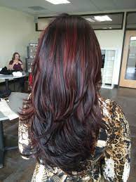 Hairstyles For Long Hair With Red Highlights Dark Hair With Highlights Hair Color Auburn Dark Auburn Hair