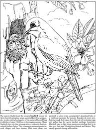 Realistic images of wild animals and mythical carousel favorites are more intricate, suiting older kids and adults. Wildlife 2 Coloring Pages Nature Bird Coloring Pages Animal Coloring Pages