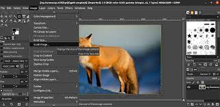 Gimp How To Resize Image
