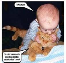 Daftar kucing lucu, galau dan imut menggemaskan. Gambar Lucu Bayi Lucu Gigit Kucing Idailsum Sum Flickr