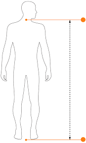 Any short, narrow, v shaped deviation, whether positive or negative, in a linear tracing. Measurements Clydesdale Bikes
