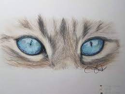 See more ideas about cat drawing, cat art, animal art. Cat Eyes In Colored Pencils Art Amino
