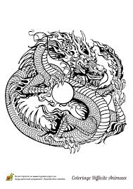 Coloriage papillon tr¨s difficile imprimer, crédit à:pinterest.com. Dessin A Colorier D Un Dragon Chinois