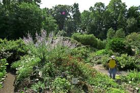 Especially the high plant diversity and calm setting is perfect for bird species trying to find a calm. Gottingen Diebe Stehlen 16 Kubel Mit Seltenen Pflanzen