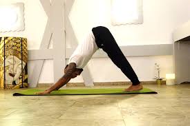 9 vinyasa yoga poses for beginners. Yoga Asana Glossary Listen To The Sanskrit Asana Names