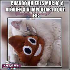 Ajajajaja El Amor Es Ciego Alguien Como Tu Memes Imagenes Graciosas