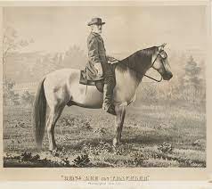 In the blackfoot indians tribe history, the name blackfoot indian was really the name of four blackfoot native american indian tribes that lived in the plains. Famous Horses Smithsonian Institution