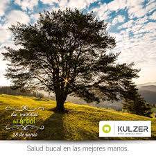 El objetivo principal de celebrar esta fecha es recordar y destacar la enorme importancia que los árboles tienen en nuestra vida y en la. Dia Mundial Del Arbol Kulzer Mexico