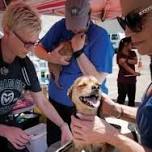Fort Collins Clinic — The Street Dog Coalition