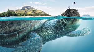 Resultado de imagen para historia de la naturaleza ecuatoriano