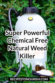 New sprayer sprays for gardening fertilizing and weed control hospital disinfection sprayers. Super Powerful Chemical Free Natural Weed Killer Recipes To Nourish