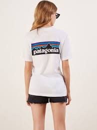 Patagonia Men S P 6 Logo Responsibili Tee