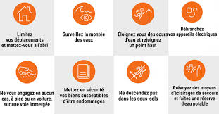We did not find results for: The Best 12 Vigilance Orange Vigilance Jaune Orages Didrasuky