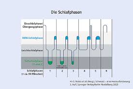 Schmerz Und Schlaf
