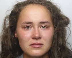 Police analyst admits tipping-off friend over secret criminal probe