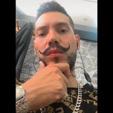 Oxalis cuttings growing new plants