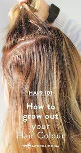 Hair 101 How To Grow Out Your Hair Colour Growing Out Hair Colored Hair Roots Natural Dark Hair