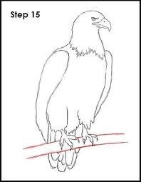 25 Gambar Burung Garuda Yang Keren Unduh 1050 Gambar Burung Elang Sketsa Paling Keren Gratis Download Garuda Banner Inspirasiku Di 2020 Burung Elang Gambar Elang