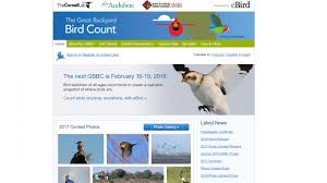 Volunteers take bird counts through standardized processes, such as the christmas bird count and the breeding bird survey, which then goes back to the collaboration that exists at the cornell lab of ornithology has enabled the use of weather radar data to study bird population, according to. Birth Of The Great Backyard Bird Count Boothbay Register