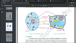 Mitosis in animal cells ­ whitefish (leucicthys) blastula slides. Class 6 Chapter 1 Cellular Organization Of Plants And Animals Topic Animal And Plant Cell Youtube