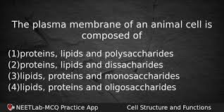 Maybe you would like to learn more about one of these? The Plasma Membrane Of An Animal Cell Is Composed Of Neetlab
