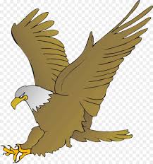 43+ trend sketsa gambar burung garuda asli. 24 Gambar Elang Kartun Png Cari Gambar Keren Hd