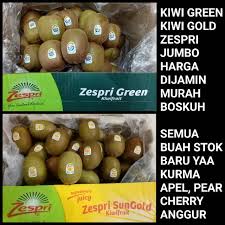 Hip hop artist of wordly and universal dopeness. Kiwi Green Zespri Jumbo Harga Dijamin Murah Dibawah Pasaran Shopee Indonesia