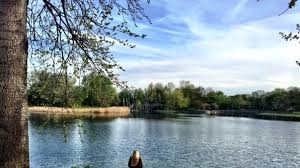 Das café am see wurde durch die architekten engelbert kremser und unter bauleitung von manfred korthals als restaurant errichtet. Auf Der Suche Nach Dem Weissen Kaninchen Qiez