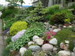 Hillside Rock Garden Rock Garden Design Sloped Garden Backyard Garden Landscape