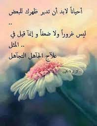 علاج الجاهل التجاهل cool words arabic proverb proverbs