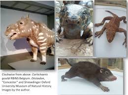 This chapter will introduce you to the secrets of the park's rating at jurassic park evolution. Blogposts Popularizing Palaeontology